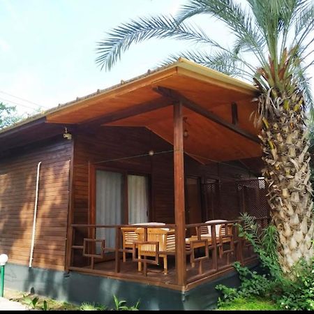Olympos Yavuz Hotel Çıralı Eksteriør bilde