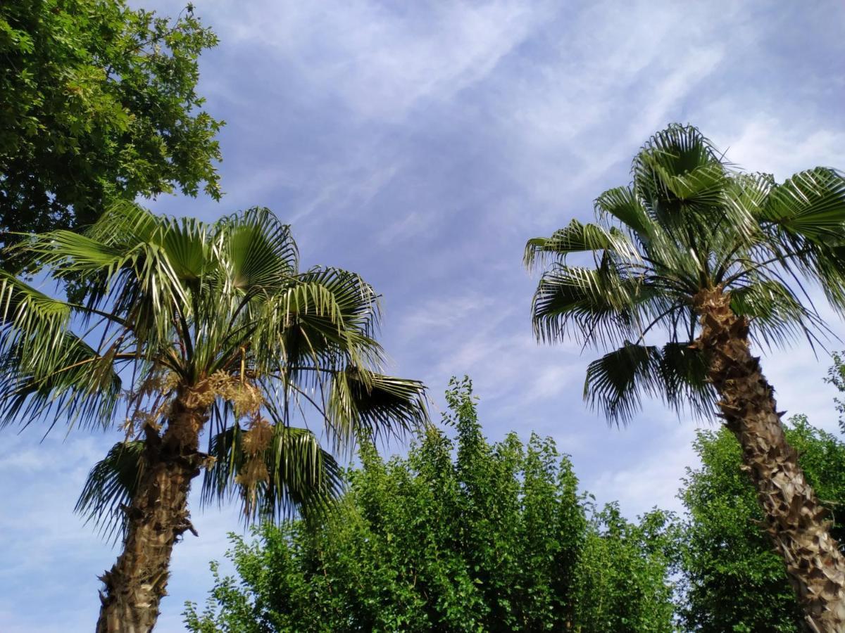 Olympos Yavuz Hotel Çıralı Eksteriør bilde