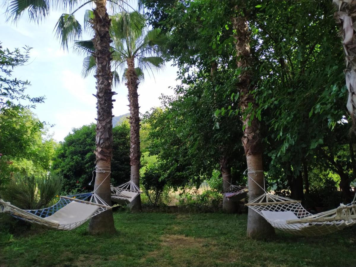 Olympos Yavuz Hotel Çıralı Eksteriør bilde
