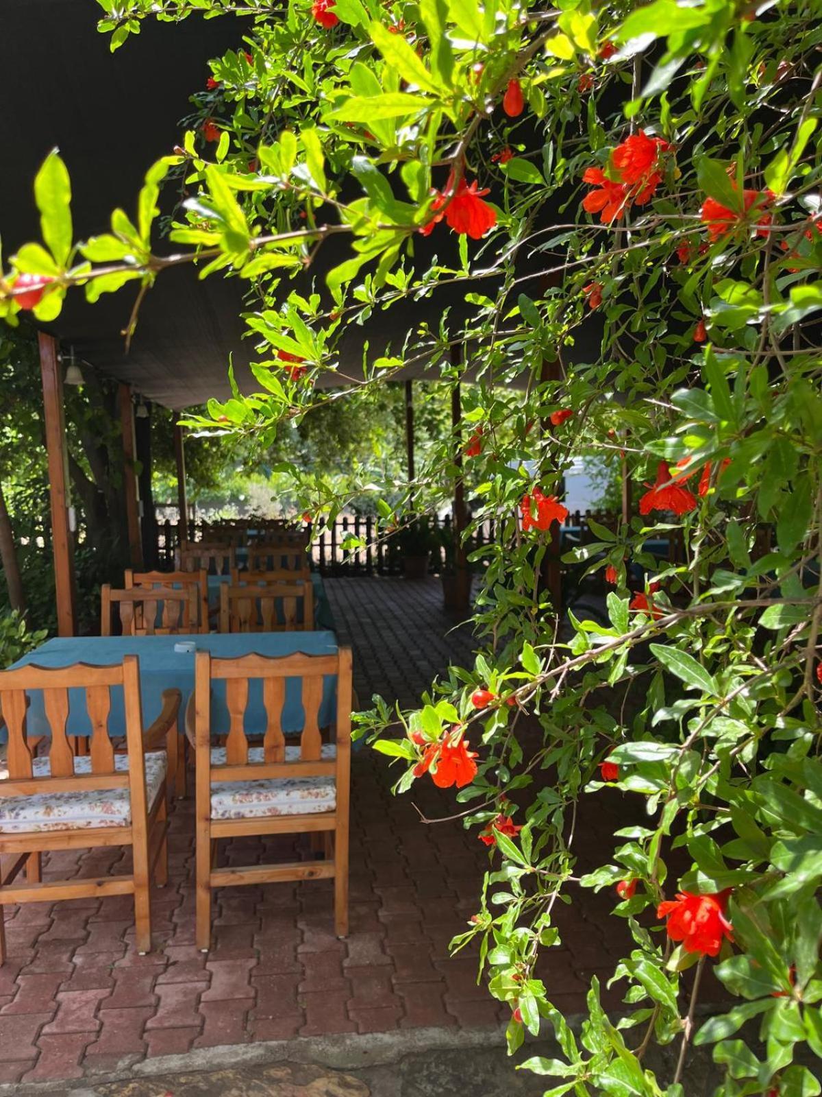 Olympos Yavuz Hotel Çıralı Eksteriør bilde